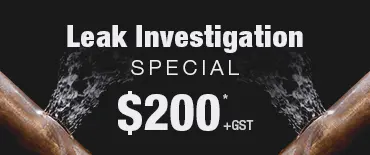 Leak Investigation Discount Okura